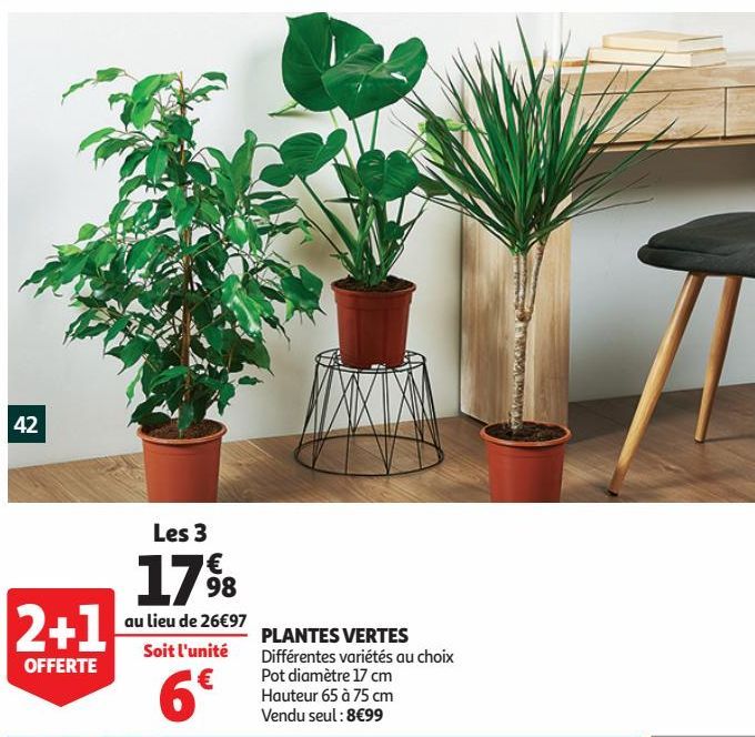 PLANTES VERTES