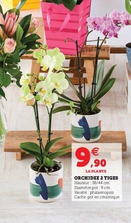 12   ,90  LA PLANTE  ORCHIDEE 2 TIGES Hauteur: 38/44 cm Diamètre pot: 9cm  Variété phalaenopsis Cache-pot en céramique