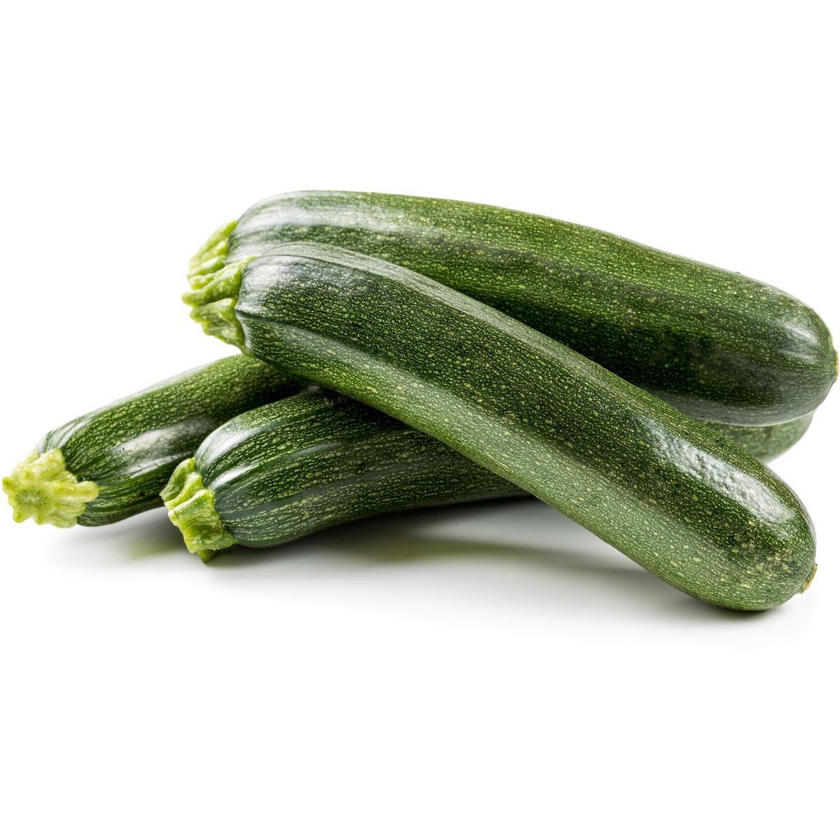 COURGETTES BIO