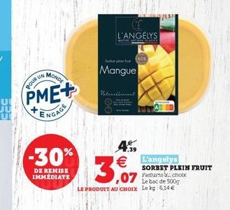 MONDE  PME+  ENGAGE  -30%  DE REMISE IMMÉDIATE  POUR UN  S L'ANGELYS  SORBET PLEIN FRUIT Parturns choix Le bac de 500g