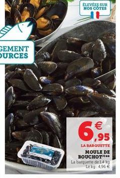 moule