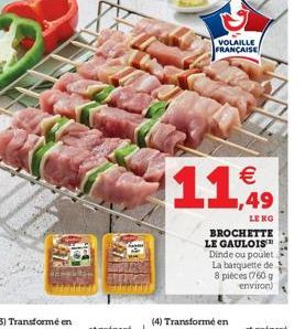  1,49  LENG  BROCHETTE LE GAULOIS Dinde ou poulet La barquette de 8 pièces (760 g environ)  (4) Transformé en