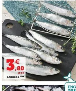 13,80    sardine