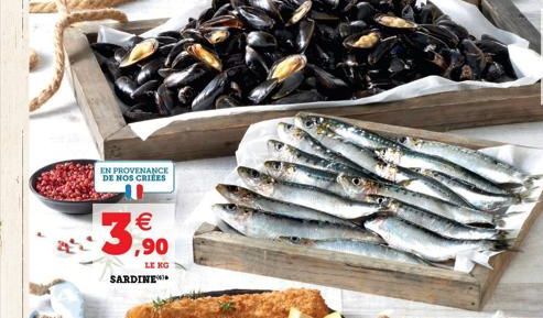 EN PROVENANCE DE NOS CRIEES  +3,90    SARDINE