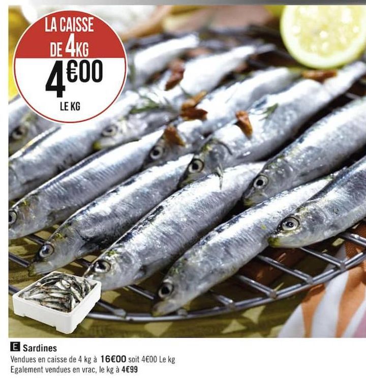 sardines