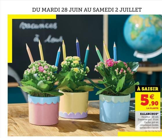 DU MARDI 28 JUIN AU SAMEDI 2 JUILLET  Poacances  low  À SAISIR   ,90  LA PLANTE  KALANCHOE Hauteur 20 cm Diamètre pot: 8 cm Cache-pot en  céramique motifs sorties des classes