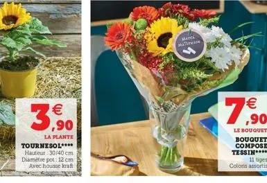   3,590  la plante  tournesol***. hauteur 30/40 cm diamètre pot. 12 cm avec housse kraft  merci mattresse   ,90  le bouquet  bouquet compose tessin**** 11 tiges coloris assortis