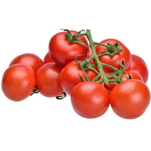 tomates rondes en grappes bio