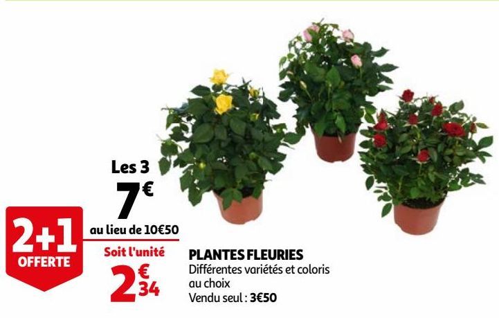 PLANTES FLEURIES