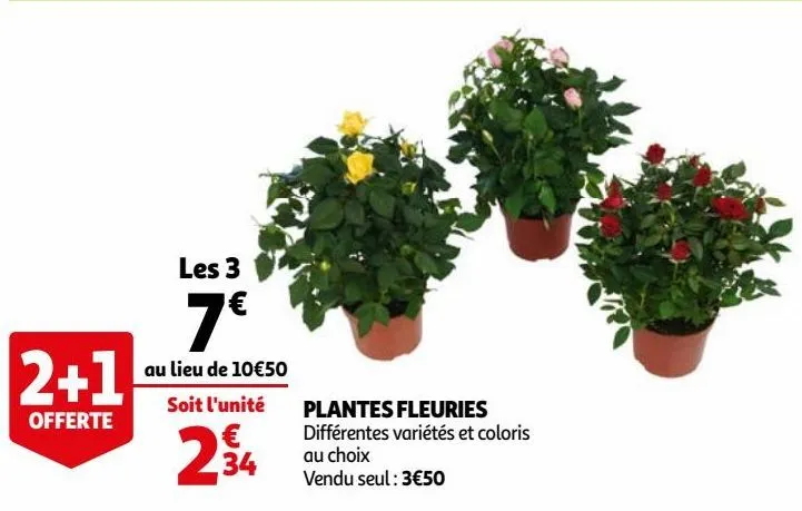 plantes fleuries