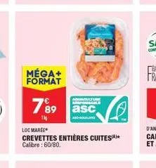 crevettes loc marée