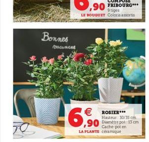 TO  Bonnes  bacances  -6,90   ROSIER***  Hauteur: 30/35 cm  Cache-pot en  LA PLANTE céramique