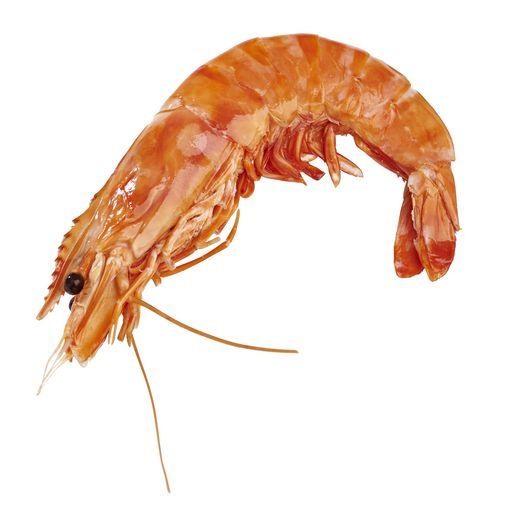 gambas entieres cuites sauvages refrigerees