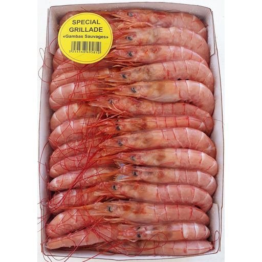 gambas rouges d´argentine sauvages entiere crues Congelees