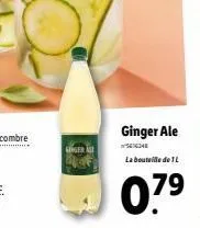 ginger ale  16348  la bouteille de l  07?
