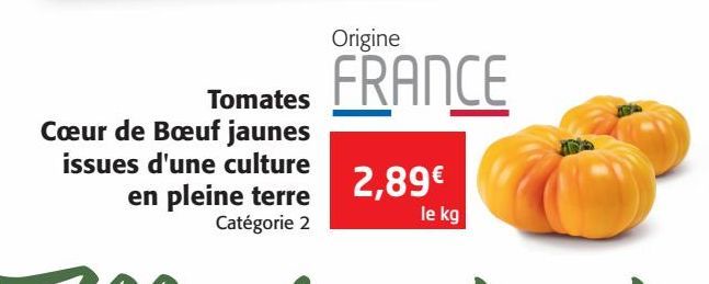 Tomates Cur de Buf jaune issues d'une culture en pleine terre