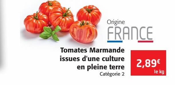 Tomates Marmande issue d'une culture e pleine terre