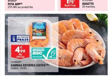 gambas Loc Marée