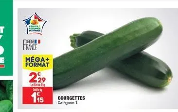 fruits lecumcs  france  fene  france  méga+ format  229  la flet dig  s    115  courgettes catégorie 1.