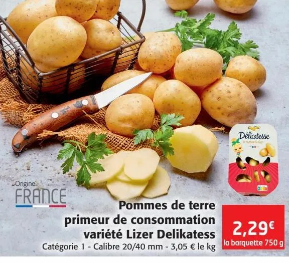 pommes de terre primeur de consommation variété lizer delikatess