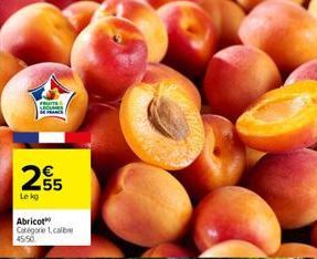 FRUIT  Lekg  55  Abricot Categorie 1, calib 45/50