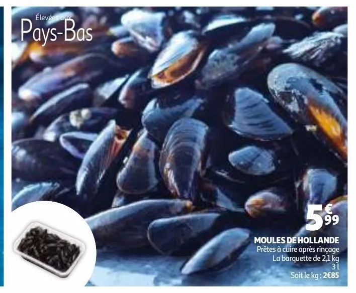 moules de hollande