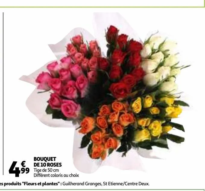 bouquet de 10 roses