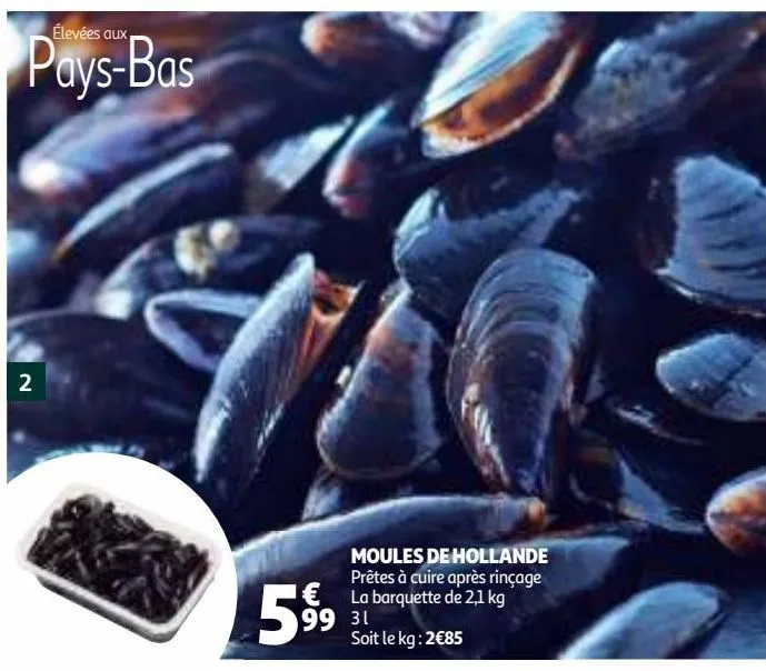 moules de hollande