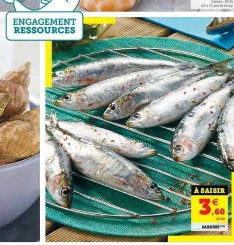 engagement ressources  à saisir    3,00!  lx kg  sardine