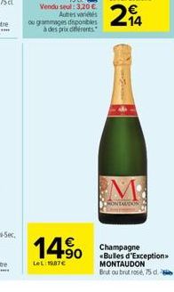 ou grammages disponibles à des prix différents  +90  LeL: 1987  G  MONTAUDON  Champagne «Bulles d'Exception> MONTAUDON  Brut ou brut rosé, 75 d.