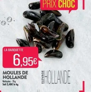 moules