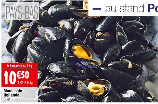 moules