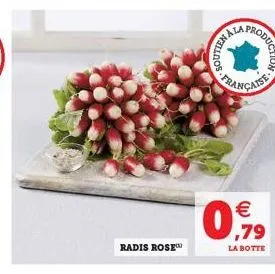 radis rose  yonce-fran    0,99  la botte
