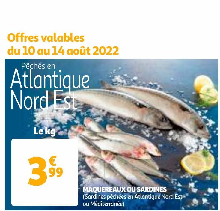 MAQUEREAUX OU SARDINES