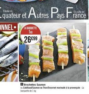 Equateur et Autres Pays France  Et cuite  1KG  2699  WANSE  B Brochettes Saumon  ou Cabillaud/Saumon ou Thon/Encornet marinade à la provençale - La barquette de 1 kg