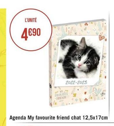 agenda My favorite friend chat 12.5x17cm