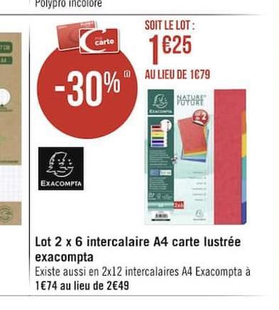 Lot 2 x 6 intercalaire A4 carte lustree exacompta