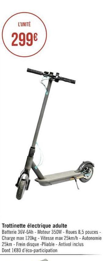 trottinette electrique adulte