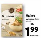 quinoa Sun