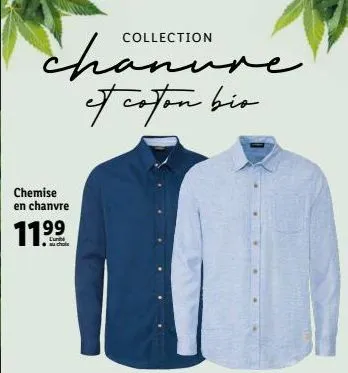 collection  chanure of coton bio  chemise en chanvre  11.??