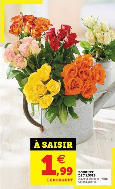 À SAISIR    ,99  BOUQUET DE 7 ROSES  LE BOUQUET Hauteur des tiges: 40cm  Coloris assortis