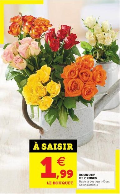 À SAISIR   1,99  LE BOUQUET  BOUQUET DE 7 ROSES  Hauteur des tiges: 40cm Coloris assortis