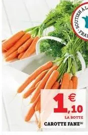 outlen al    1,100  la botte carotte fane