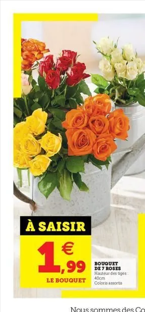 à saisir  1,?99    bouquet de 7 roses hauteur des tiges: coloris assortis  le bouquet 40cm