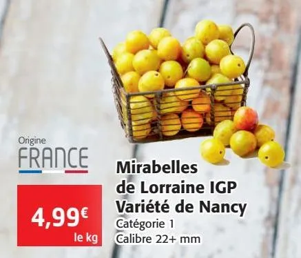 mirabelles de lorraine igp variété de nancy 