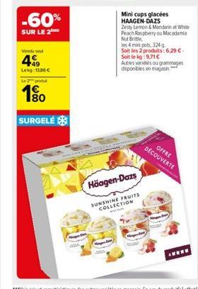 fruits Haagen Dazs