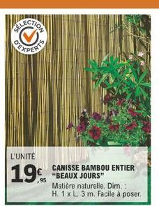 EXPERT  L'UNITÉ  19  CANISSE BAMBOU ENTIER "BEAUX JOURS"