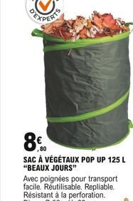 EXPERT  8  SAC À VÉGÉTAUX POP UP 125 L "BEAUX JOURS"