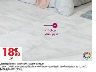18%  LE MF  -1" choix  - Groupe 4  Carrelage de sol intérieur SHABBY BIANCO  L 60 xl. 30 cm. Grès cérame émaillé Coloris blanc nuancé gris. Vendu en carton de 1,32 m²: 2495 (90001523699)