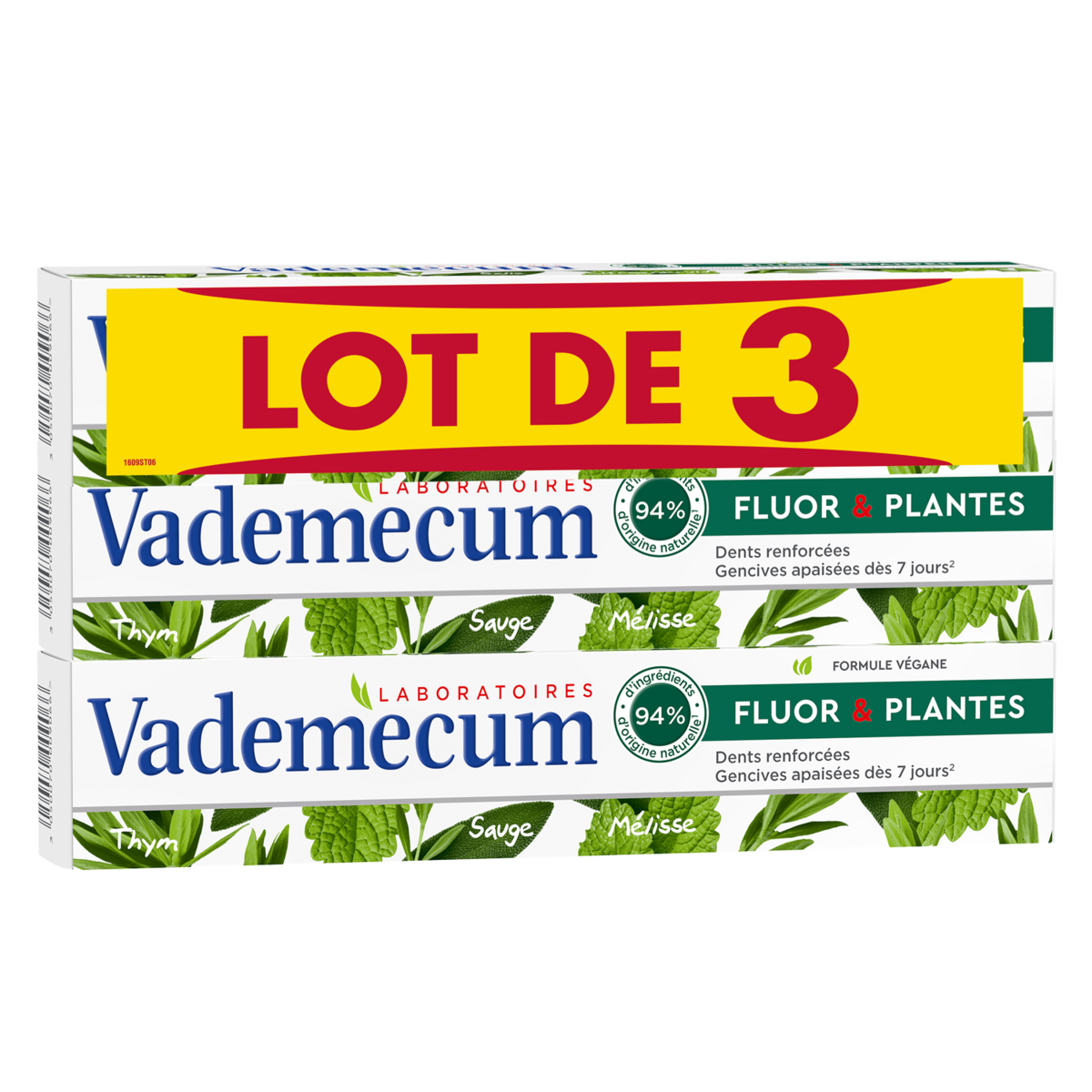 DENTIFRICE VADEMECUM